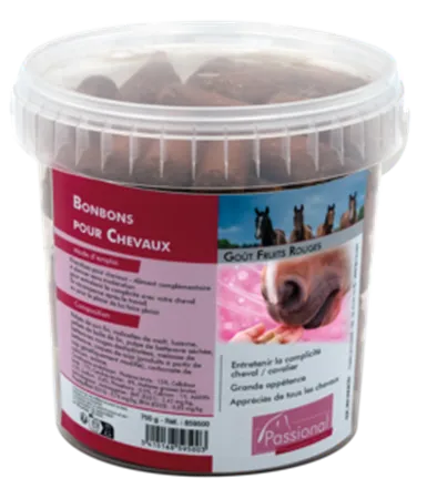 Bonbons pour chevaux got fruits rouges 750g PASSIONAL Prix Bas