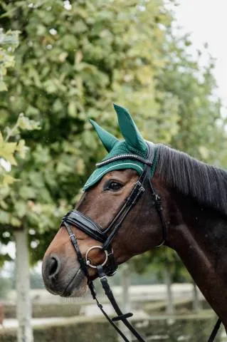 Bonnet Wellington Velvet Vert Sapin - Kentucky - Vert - Poney Jusqu puisement Des Stocks