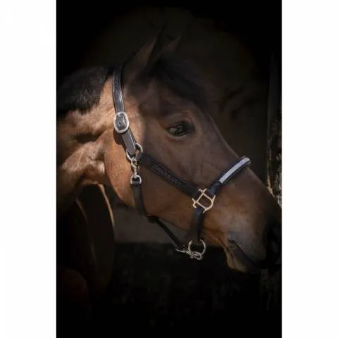 Licol cuir Harmonie - PENELOPE COLELCTION - Noir - Full Acheter En Ligne