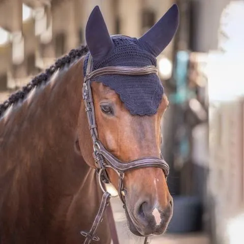 Retour Gratuit Bonnet cheval anti-bruit - Jump in - Full - Marine