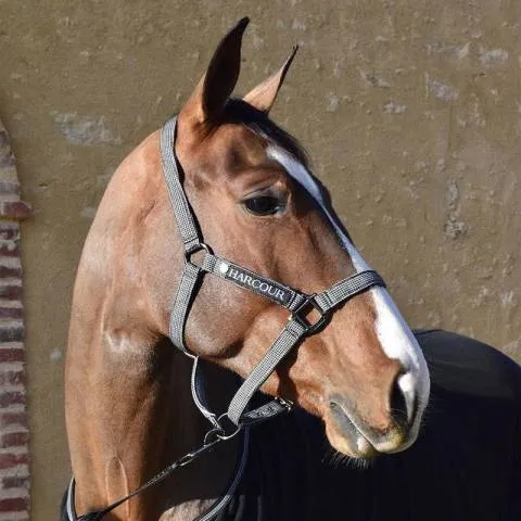 Licol et Longe Harcour Casa Poney - Poney Bon March