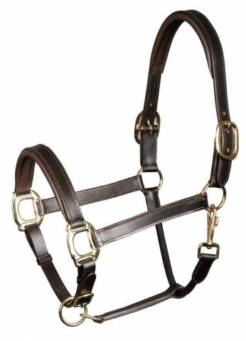 Licol en cuir Padded - Harry's Horse - Noir - Full Meilleure Vente
