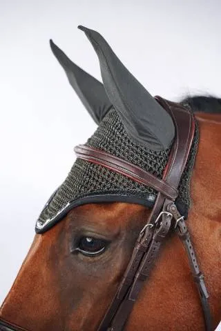 Bonnet cheval Harcour Filou - Noir Acheter Direct