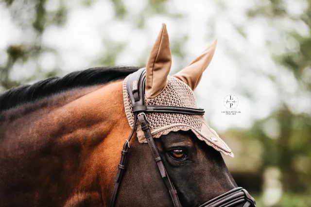 Bonnet anti-mouches Equestrian Stockholm - CHAMPAGNE - Beige - Cheval Acheter Direct