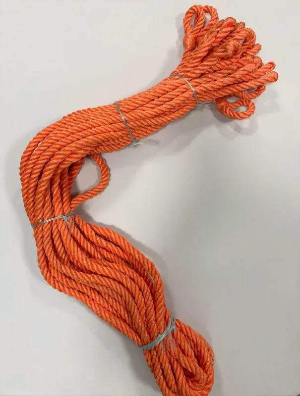 Longe polypropylne 14 mm x 2.20 mtres Promotion