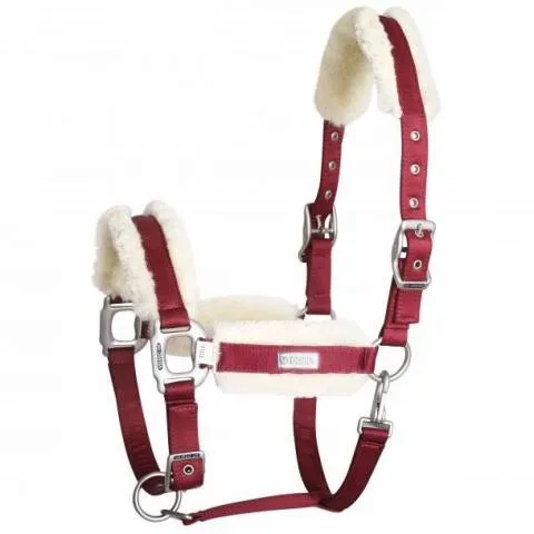 Licol Be Tempted SD DESIGN - Cherry Milkshake - Cob Meilleur Choix
