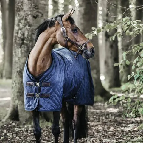 Prix Rduit Couverture d'curie 0gr - Kentucky - Noir - 140