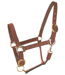 Meilleure Vente Licol en cuir huil marron pour cheval PASSIONAL