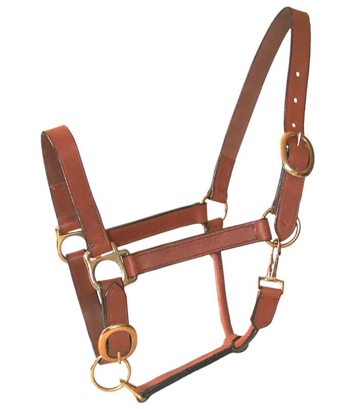 Licol cuir huil double poney Commander Vite
