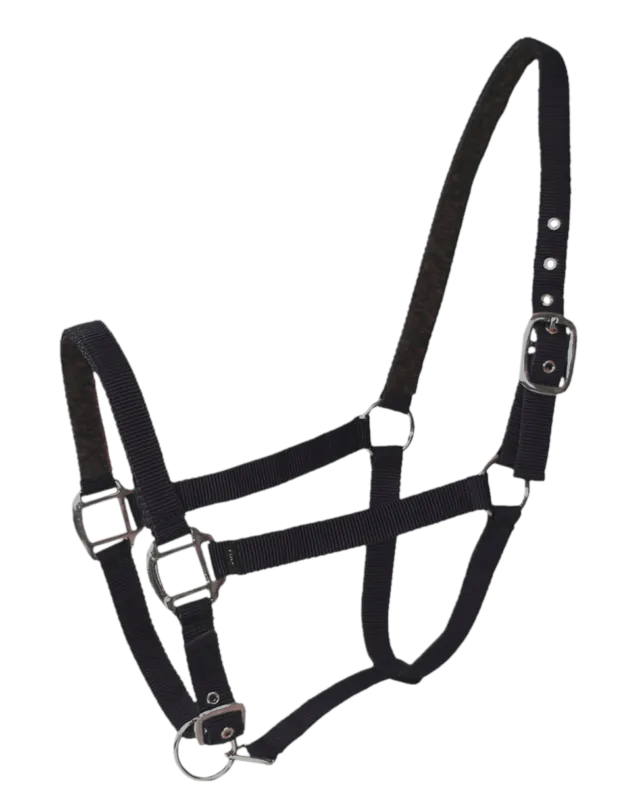 Licol nylon/cuir Cheval Noir Livraison Gratuite
