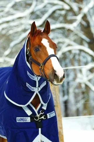 Prix Cass Couverture Rambo original 200g - Horseware - impermable et respirant - MARINE - 6'3 / 140 CM