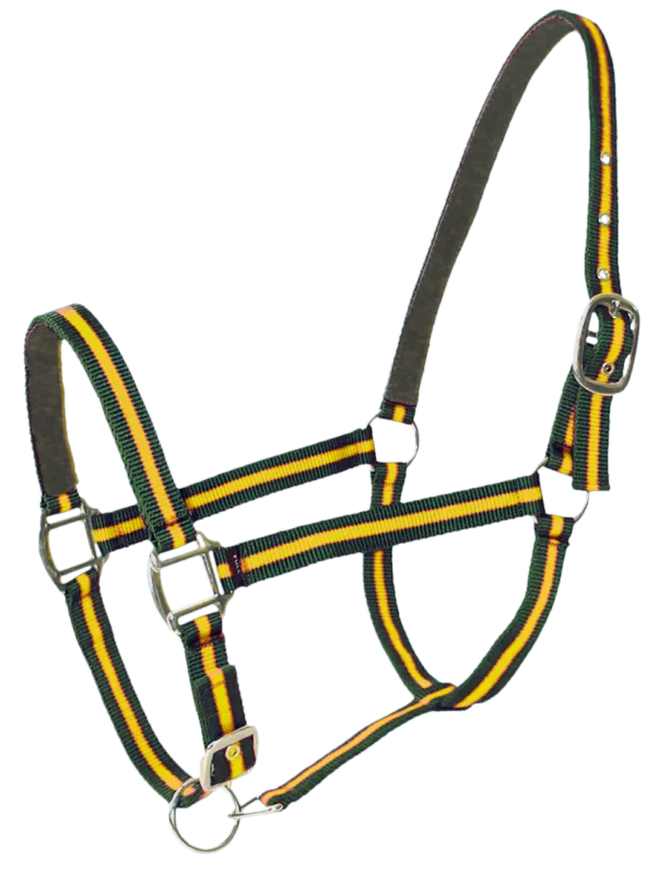 Licol bi-couleur cheval Vert/Jaune Vente Directe