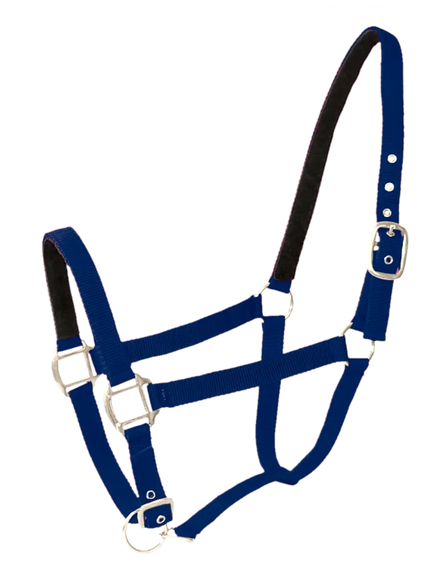 Licol Nylon/Cuir Cheval navy Remise