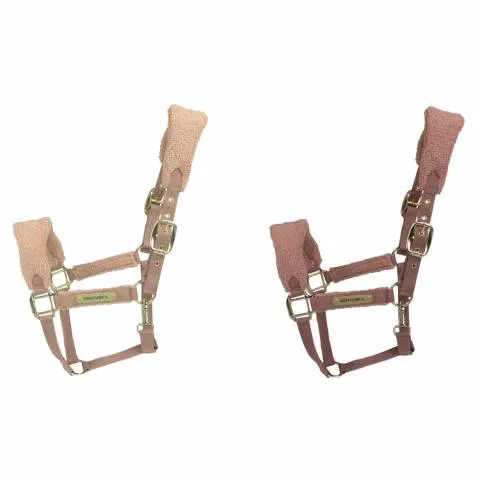 Licol Teddy Fleece - Kentucky - beige - cheval Promotion Saisonnire