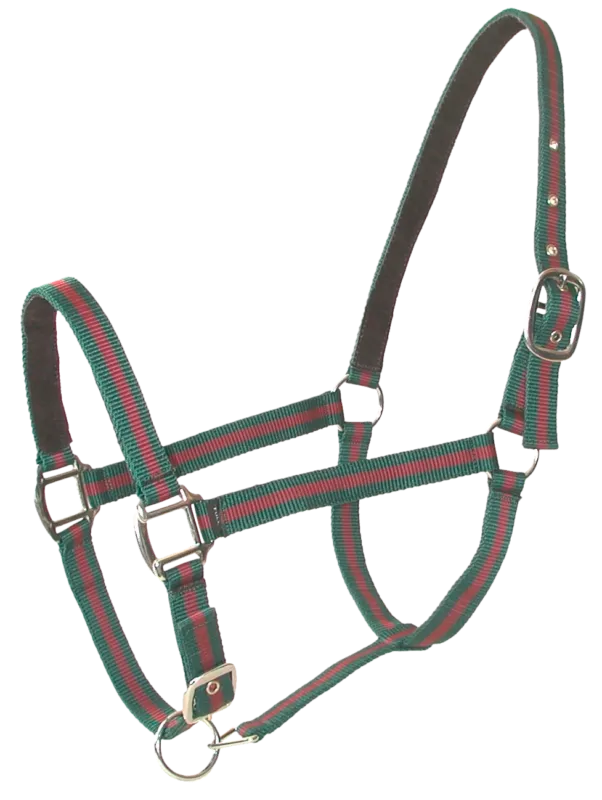 Nouvel Arrivage Licol bi-couleur double poney Vert/Bordeaux