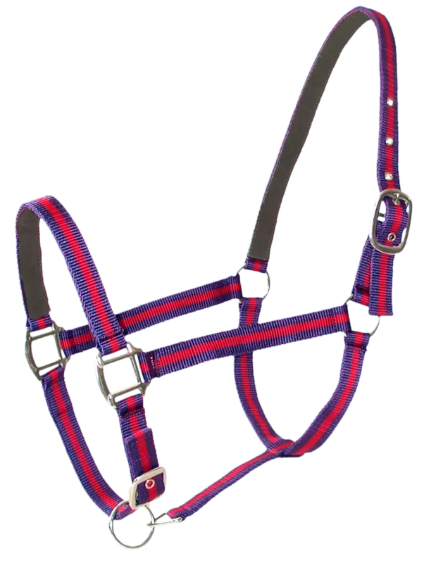 Super Prix Licol bi-couleur doubl poney Bleu/Rouge