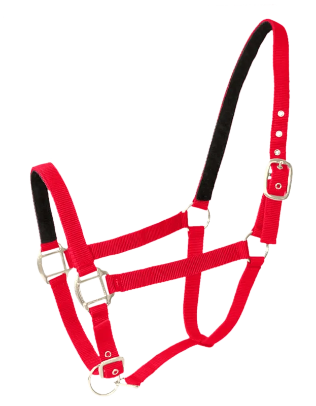 Paiement Scuris Licol nylon/cuir double poney Rouge