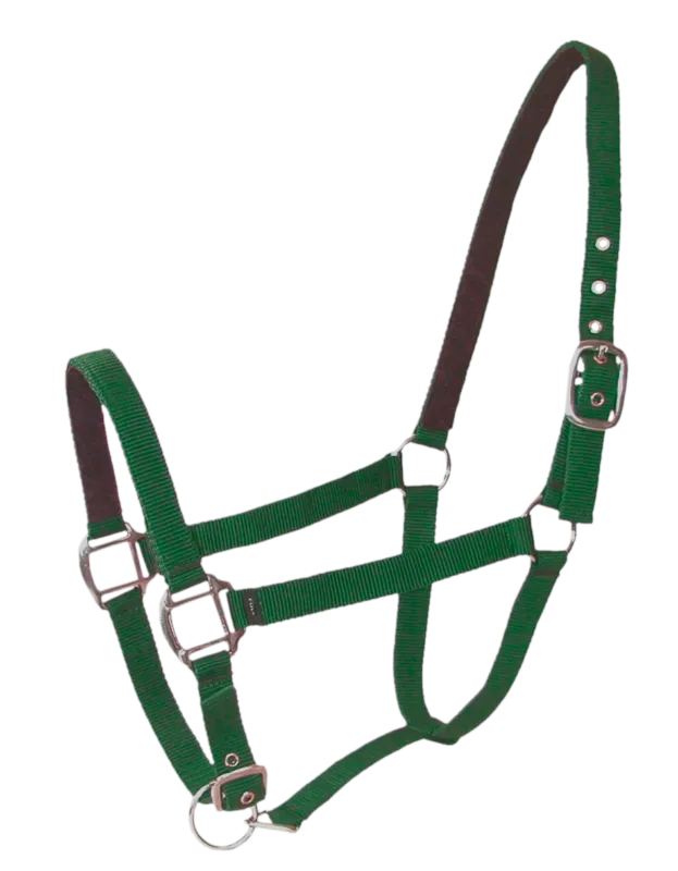 Licol nylon/cuir poney Vert Bon March