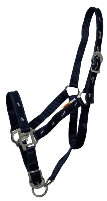 Licol amricain Cheval navy Nouvelle Collection