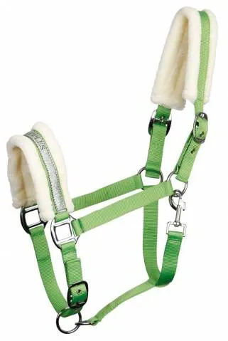 Licol Lyrics IV – Harry&rsquo;s Horse – Vert – Poney Produit De Marque