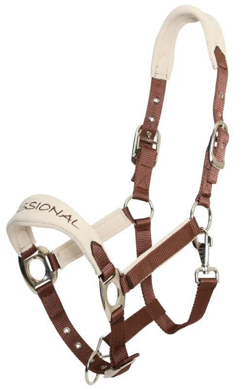 Licol confort double poney Chocolat Achetez Aujourdhui