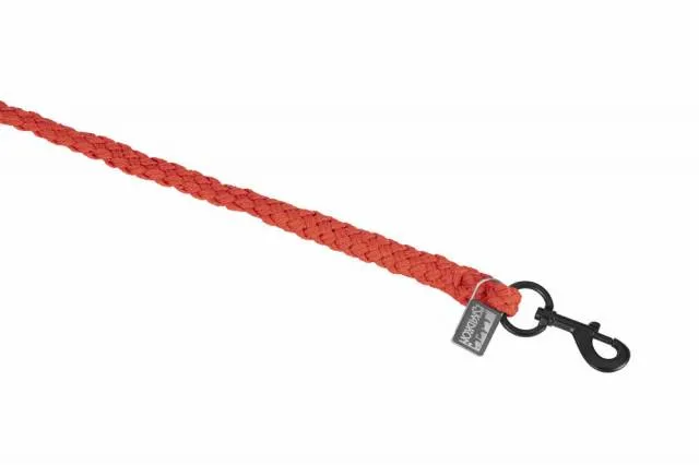 Longe Regular Dynamic 25 A/W - Eskadron - Polypropylne tress - multicolor Livraison Gratuite