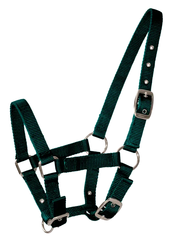 Soldes Licol poulain Vert