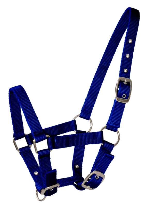 Soldes Licol poulain navy