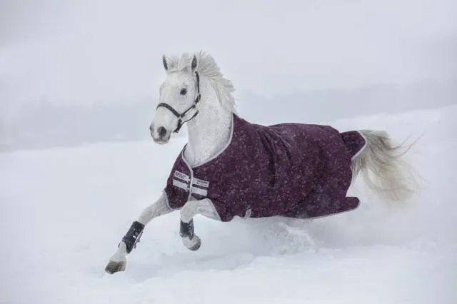 Couverture Amigo Hero Ripstop 50g - Horseware - extrieur impermable - BORDEAUX/ARGENTE - 5'6 / 115 CM Remise