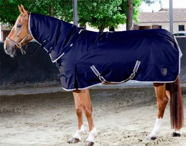 Commander Maintenant Couverture de paddock Tattini avec couvre cou amovible - 125