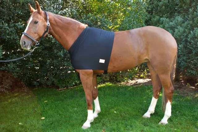 Dernier Modle Protection d'paules contre l'usure du poil du cheval - Noir - XS