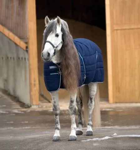 Quantit Limite Couverture d'curie Rambo 200g - HORSEWARE - Bleu - 145cm