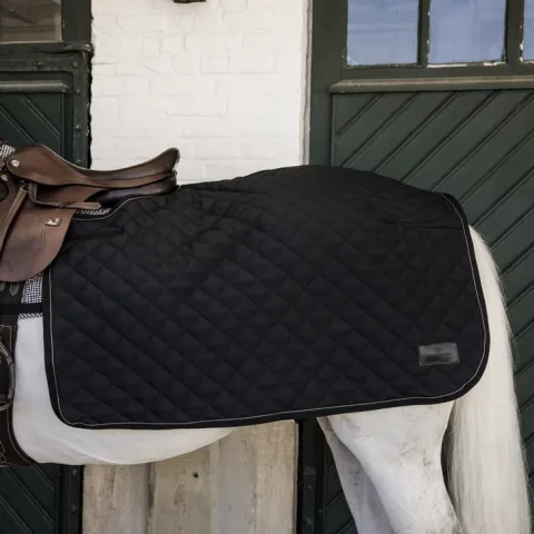 Prix Bas Couvre reins carr - Kentucky - Bleu Marine - M