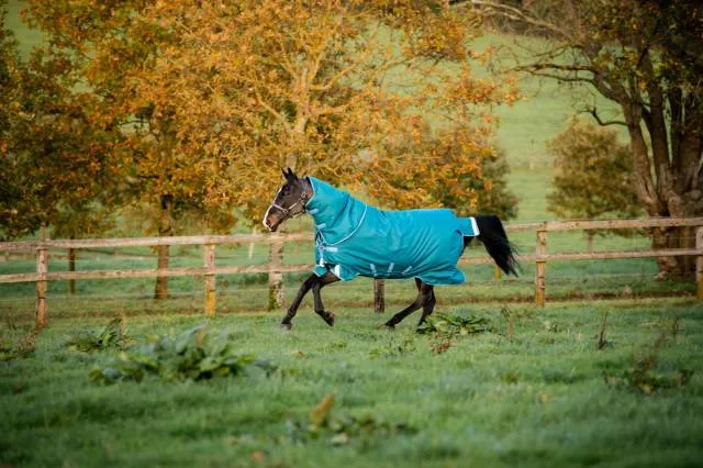 Top Vente Couverture extrieur Amigo Bravo 12 Plus 400g - VERT/TURQUOISE - 5'9 / 125 CM