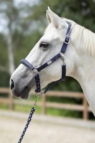 Licol aruba hkm - Rouge - Poney Remise