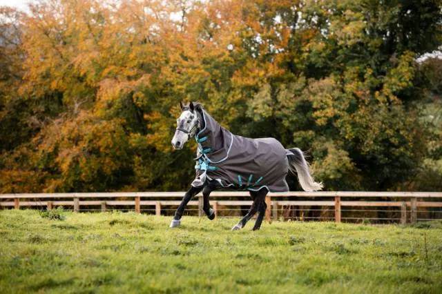 Meilleur Prix Couverture extrieur Amigo Bravo 12 Plus Medium - GRIS EXCALIBUR/EAU - 5'6 / 115 CM