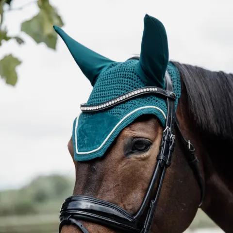 Expdi Aujourdhui Bonnet Wellington Velvet Emeraude - Kentucky - meraude - Cheval