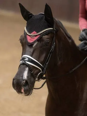 Produit De Marque Bonnet anti-mouches Soft Rouge - Equestrian Stockholm - Noir - Cheval