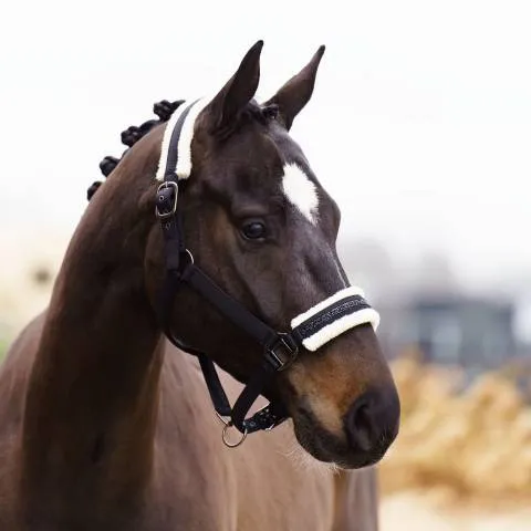 Licol Jewel - IMPERIAL RIDING - Softshell respirant - Bordeaux - Cob Meilleure Vente