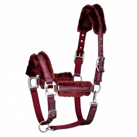 Vente Directe Licol Hollywood Glamorous - SD DESIGN - Bande paillete et strass - Bordeaux - Cob