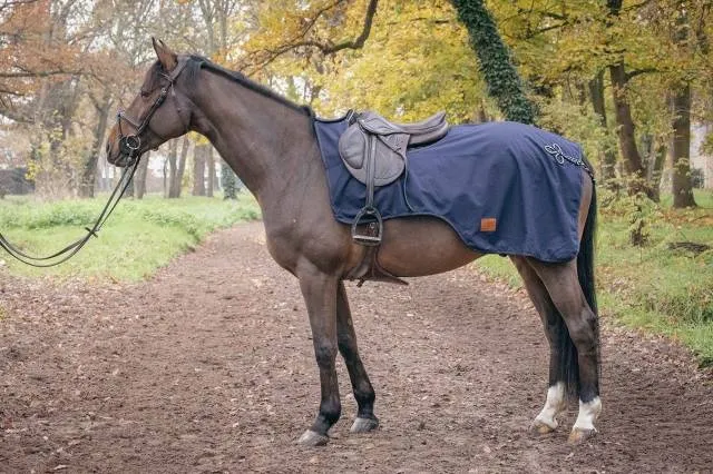 Couvre reins impermable doubl polaire Paddock Sports - 5'9" / 125cm Meilleur Prix