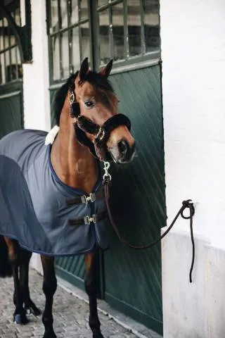 Chemise schante Softshell - Kentucky - Marine - 145cm Soldes