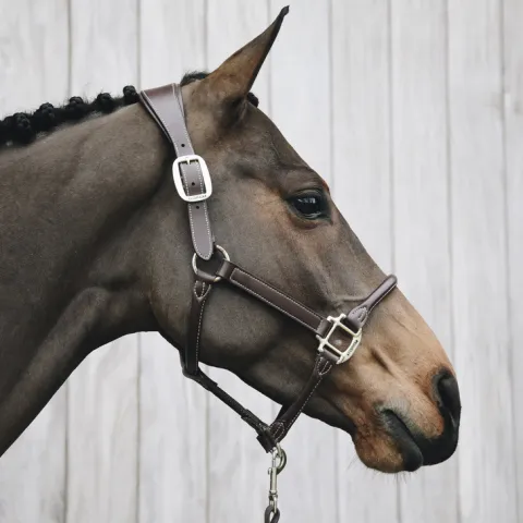 Licol anatomique en cuir - Kentucky - Noir - Cheval Nouveaut