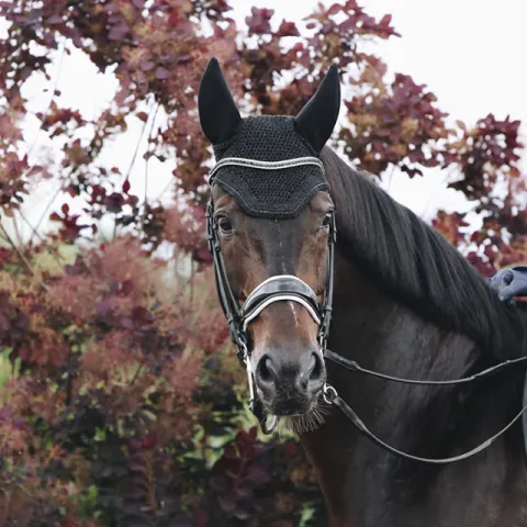 Prix Bas Bonnet Wellington Sparkling - Kentucky - Marron - Cheval