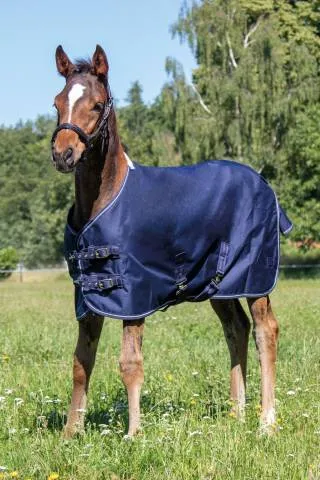 Quantit Limite Couverture pour poulain Professional - HKM - Robuste et respirante - Bleu - 85CM