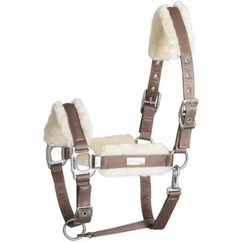 Licol Be Tempted SD DESIGN – Nougat Mousse – Cheval Offre Limite