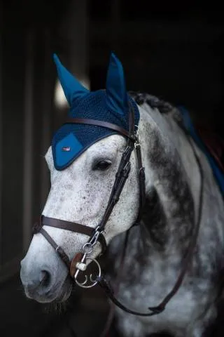 Bonnet anti-mouches Equestrian Stockholm - No Boundaries Monaco Blue - Bleu - Poney Soldes