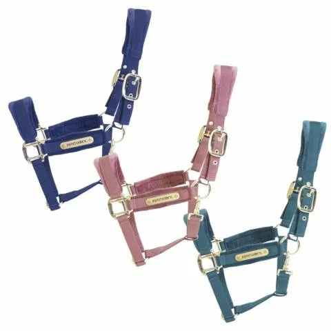 Licol Velvet - Kentucky - Rose - cheval Meilleure Vente