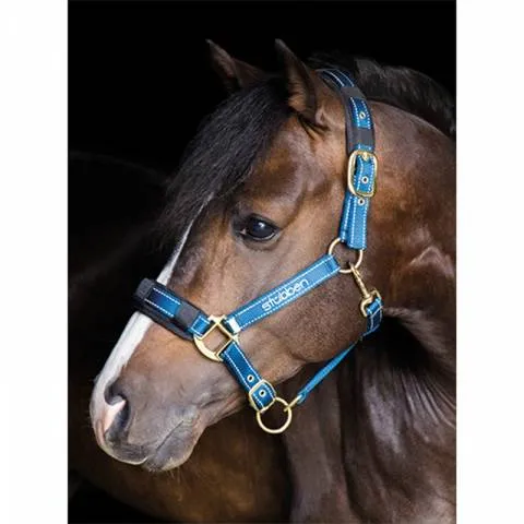 Licol reflechissant - Stubben - Cheval Offre Spciale