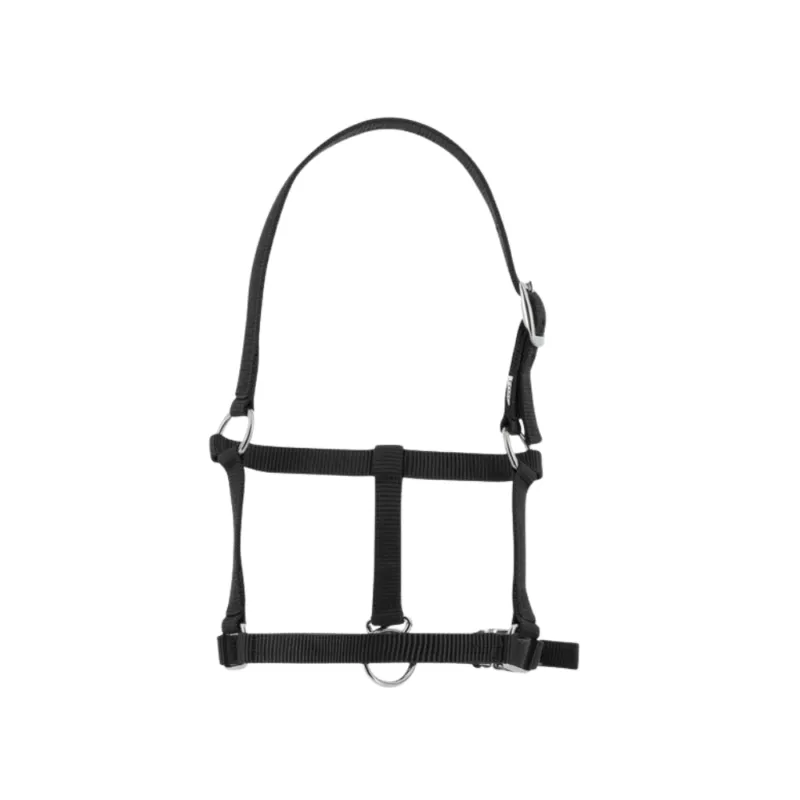 Licol foal - RIDING WORLD - noir Must-Have